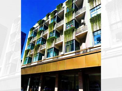 黃浦區(qū)綠化和市容管理局